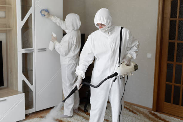 Best HVAC Mold Remediation in Fortville, IN