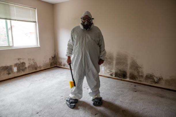 Best Crawl Space Mold Remediation in Fortville, IN